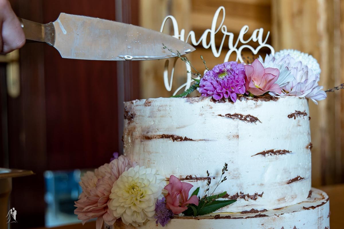 hochzeitsfotograf am cospudener see just tom