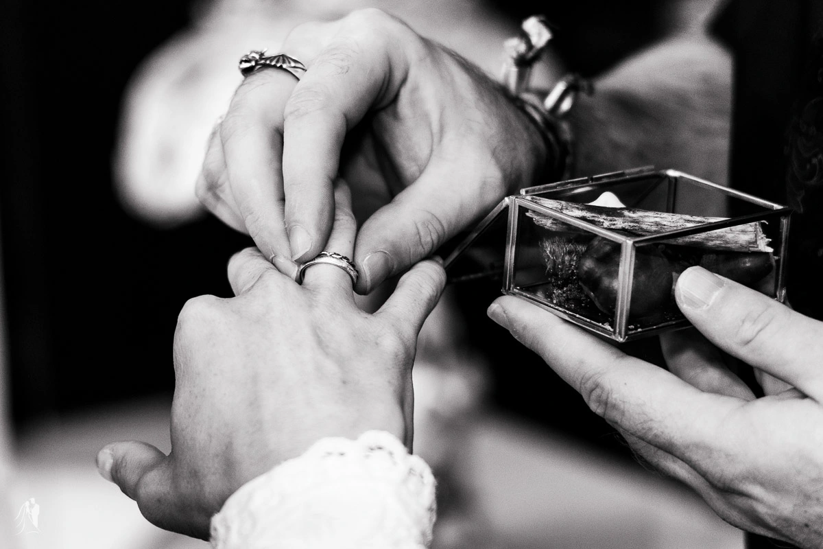 hochzeitsfotograf elopement in leipzig just tom