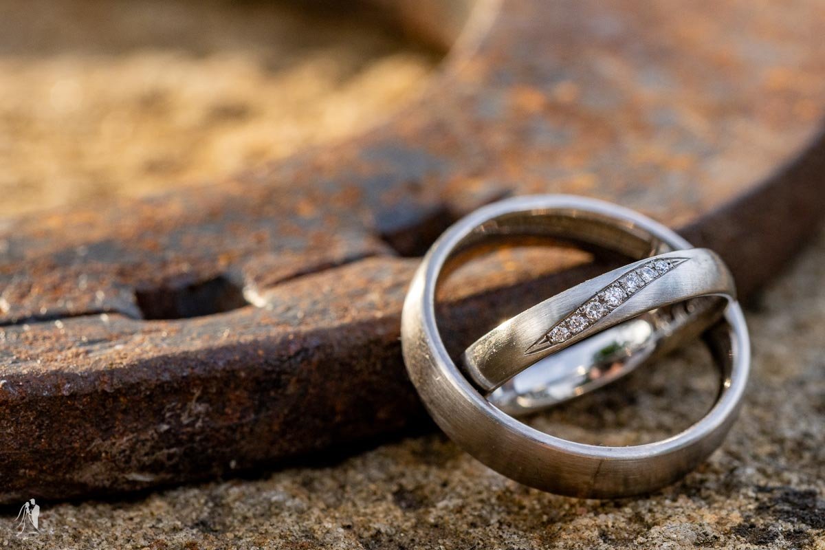 hochzeitsfotograf in meissen just tom