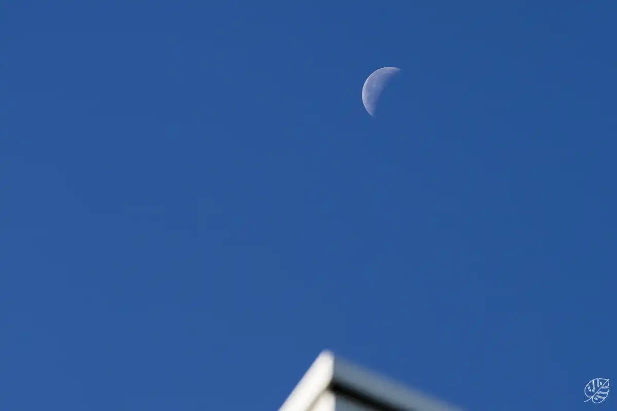 hochzeitsfotograf leipzig isatho